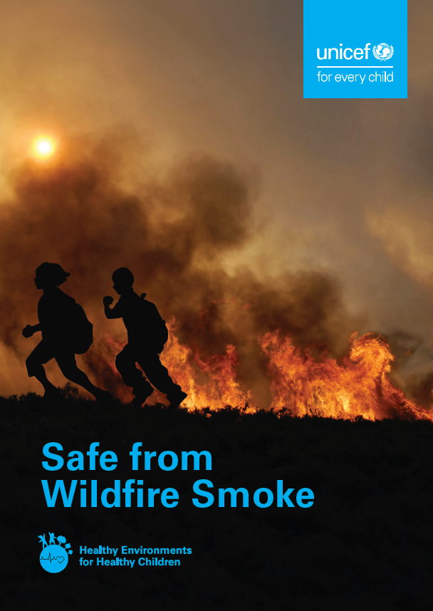 Safe from Wildfire Smoke cover